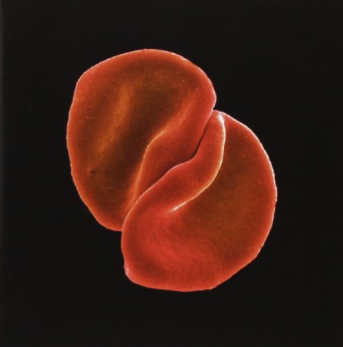 Scratch My Back / Peter Gabriel