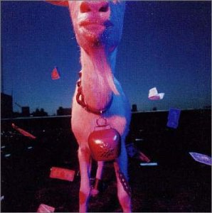 ディンゴ / アナーキー