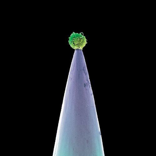 New Blood / Peter Gabriel