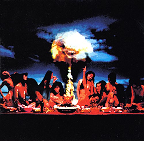 歓喜の歌 / 頭脳警察