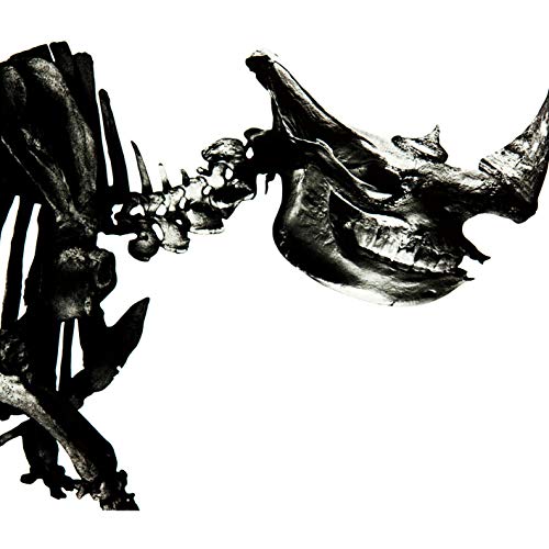 Mr.Children 1996-2000 / Mr.Children