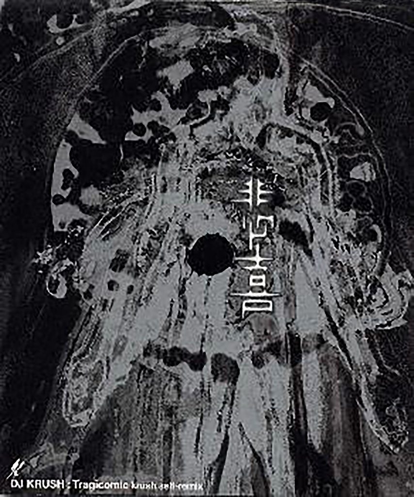 Tragicomic krush self-remix / DJ KRUSH featuring ACO,TWIGY